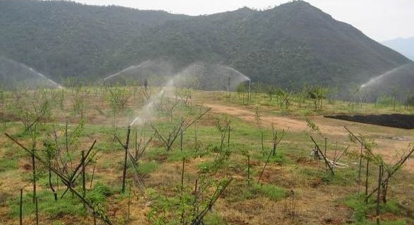 水肥一体化灌溉系统将淘汰传统的常规灌溉